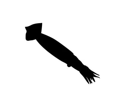 Squid Silhouette Isolated 스톡 일러스트