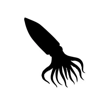 Squid Silhouette Isolated 스톡 일러스트