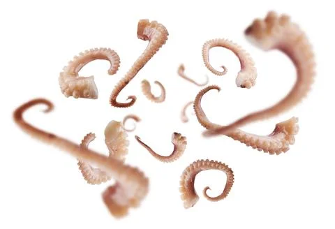 Squid tentacles levitate on a white background Stock-Fotos