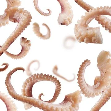 Squid tentacles levitate on a white background Stock-Fotos