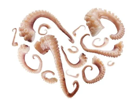 Squid tentacles in the shape of a heart on a white background Squid tentac... Stock Photos