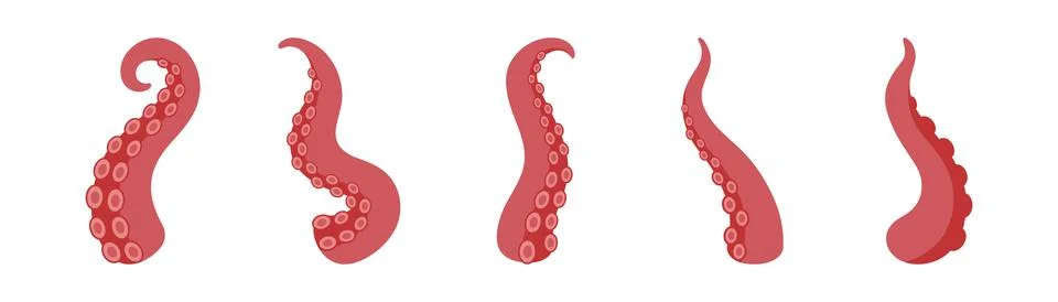 Squid tentacles with suction cups. Set of octopus arms for nautical, fantasy Stock Illustration