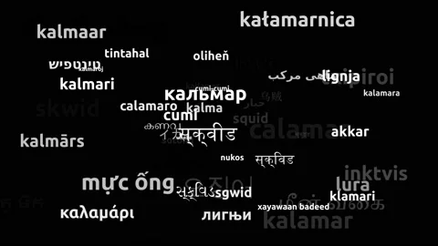 Squid Translated in 62 Worldwide Languages Endless Looping 3d Zooming Wordclo Stock Footage 145203145