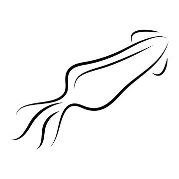 Squid vector illustration design Stock Illustration