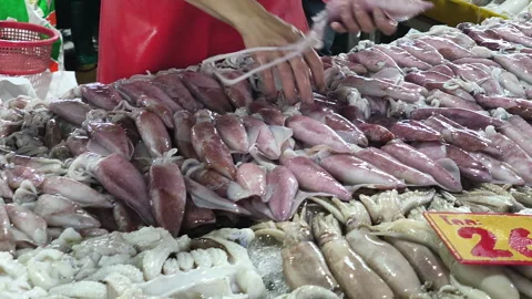 A squid vendor arranges squid on trays for sale at a seafood market in Thai.. Stock Footage 307580265