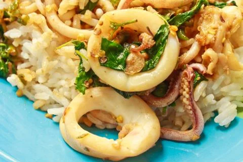 Squids fried with chilli pepper and sweet basil on rice Stock Photos