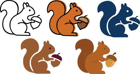 Squirrel with acorn icon set graphic design illustration Stock Illustration