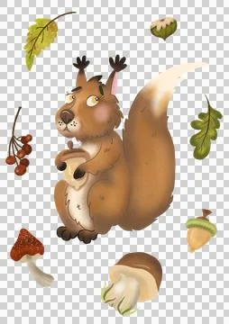 Squirrel with an acorn Stock Illustration
