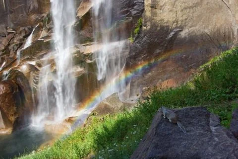 Squirrel admiring rainbow Stock Photos