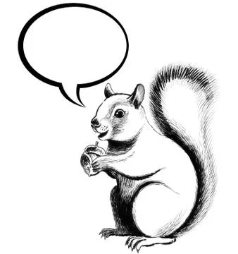 Squirrel and acorn Stock Illustration