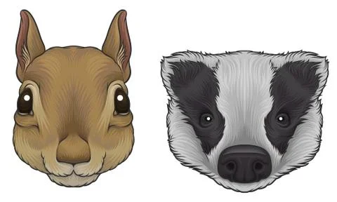 Squirrel and Badger Muzzle with Fur Vector Set Stock Illustration