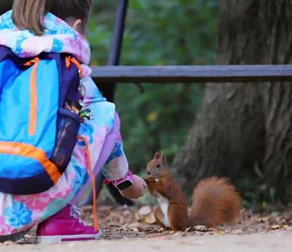 Squirrel and child Stock Photos