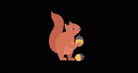 Squirrel and Nuts Stock Footage 227422690