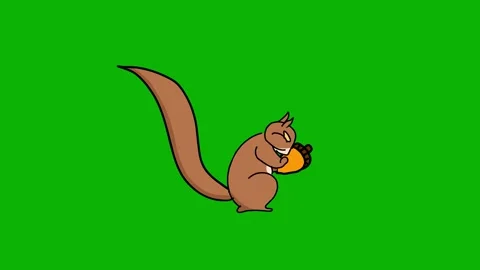 Squirrel Animation – Green Screen. Cute squirrel moving playfully for animal Stock Footage 325495463