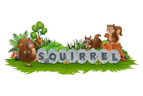 Squirrel are playing in the garden Stock Illustration