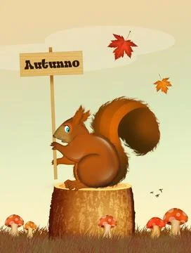 Squirrel in autumn Stock Illustration