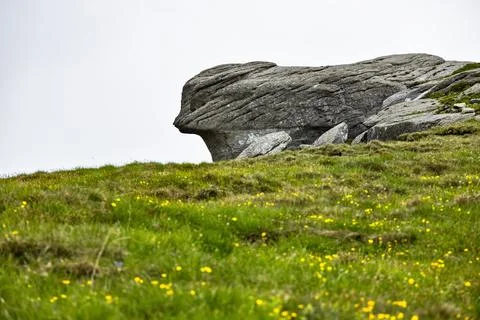 The Squirrel from the Bucegi mountains in Romania Stock Photos