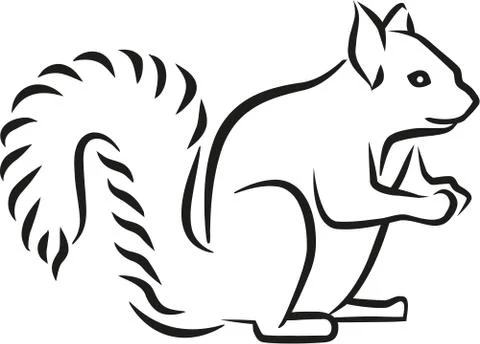 Squirrel caligraphy style Stock Illustration
