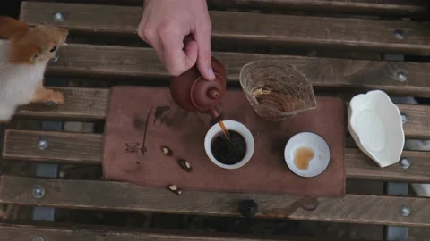 The squirrel climbed onto the bench where the man was pouring tea into bowl Stock Footage 229860359