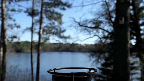 Squirrel climbs up to start eating grape jelly. Stock-Footage 148675518