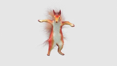 Squirrel Dancing, With Alpha Channel Stock Footage 336863698