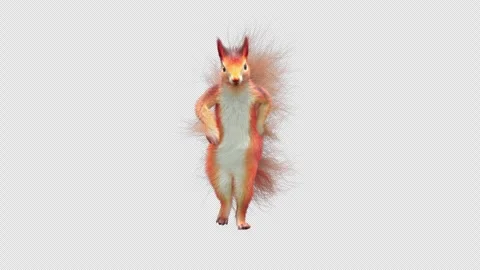 Squirrel Dancing, With Alpha Channel Stock Footage 337266500