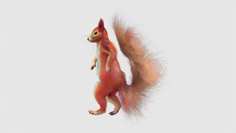 Squirrel Dancing, With Alpha Channel Stock Footage 337266520