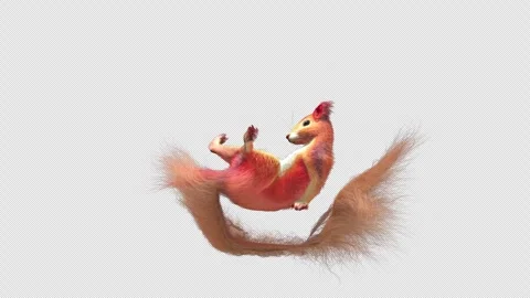 Squirrel Dancing, With Alpha Channel Stock Footage 337361038