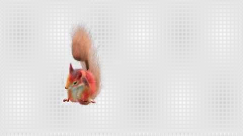 Squirrel Dancing, With Alpha Channel Stock Footage 337570374