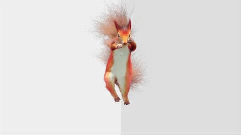 Squirrel Dancing, With Alpha Channel Stock Footage 337727778