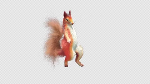 Squirrel Dancing, With Alpha Channel Stock Footage 337957500