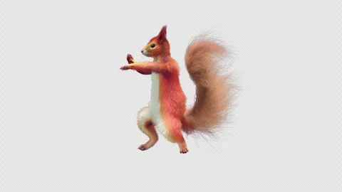 Squirrel Dancing, With Alpha Channel Stock Footage 338128469