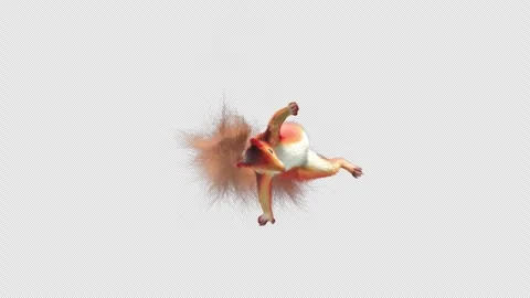 Squirrel Dancing, With Alpha Channel Stock Footage 338192127