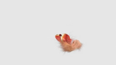 Squirrel Dancing, With Alpha Channel Stock Footage 338389813
