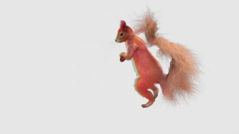 Squirrel Dancing, With Alpha Channel Stock Footage 339039997