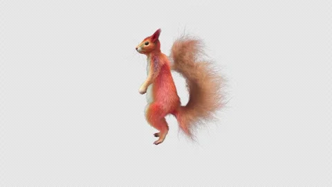 Squirrel Dancing, With Alpha Channel Stock Footage 339215295