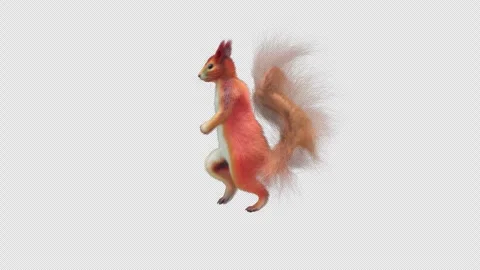 Squirrel Dancing, With Alpha Channel Stock Footage 339629932