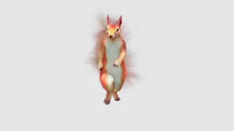 Squirrel Dancing, With Alpha Channel Stock Footage 339629973