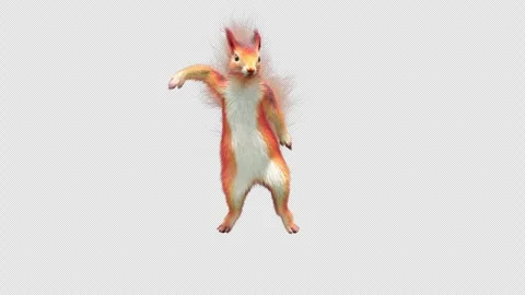 Squirrel Dancing, With Alpha Channel Stock Footage 339799834