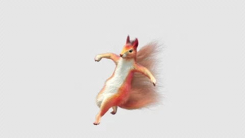 Squirrel Dancing, With Alpha Channel Stock Footage 340156884