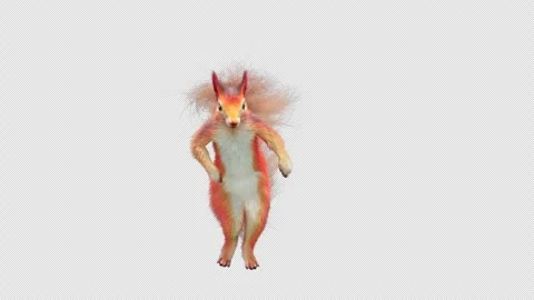 Squirrel Dancing, With Alpha Channel Stock Footage 340355242