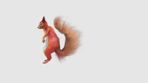Squirrel Dancing, With Alpha Channel Stock Footage 340409912
