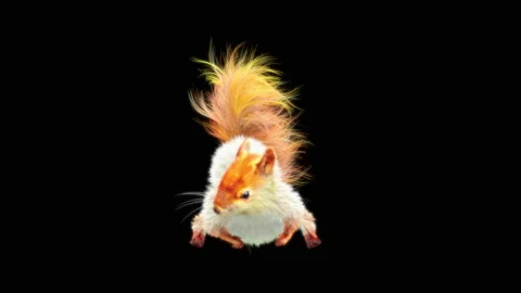 Squirrel Dancing, With Alpha Matte. Видео 149935098