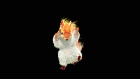 Squirrel Dancing, With Alpha Matte. Stock Footage 150658556