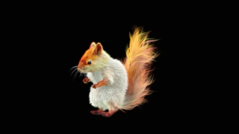 Squirrel Dancing, With Alpha Matte. 库存影片 153937155