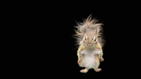 Squirrel Dancing, With Alpha Matte. 库存影片 154271491