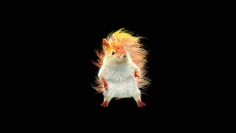 Squirrel Dancing, With Alpha Matte. 库存影片 154326844