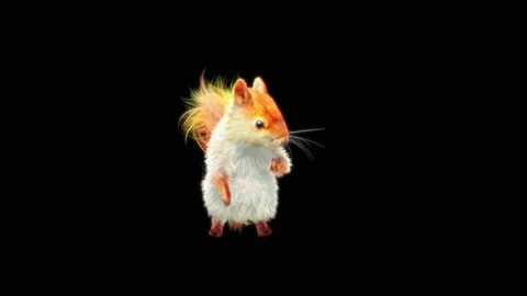 Squirrel Dancing, With Alpha Matte. Stock Footage 154423211