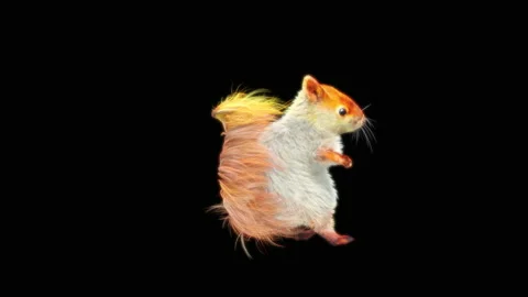 Squirrel Dancing, With Alpha Matte. 库存影片 155178902