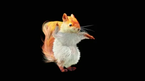 Squirrel Dancing, With Alpha Matte. 库存影片 155227442